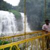 Abby falls, Coorg